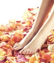 Beautiful female feet with flower petals Royalty Free Stock Photo