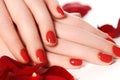 Beautiful female finger nails with red nail closeup on petals. P Royalty Free Stock Photo