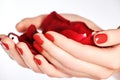 Beautiful female finger nails with red nail closeup on petals. P Royalty Free Stock Photo