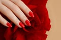 Beautiful female finger nails with red nail closeup on petals. Perfect manicure Royalty Free Stock Photo