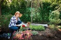 Beautiful female gardener looking at camera, holding flowers ready to be planted in her garden. Gardening. Royalty Free Stock Photo