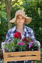 Beautiful female gardener wearing straw hat holding wooden crate full of flowers. Royalty Free Stock Photo