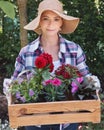 Beautiful female gardener wearing straw hat holding wooden crate full of flowers ready to be planted in her garden. Gardening. Royalty Free Stock Photo