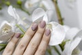 Beautiful female hand with beige nail design. Royalty Free Stock Photo