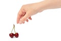 Beautiful female hand holds cherry gesture. Isolated on white background Royalty Free Stock Photo