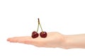 Beautiful female hand holds cherry gesture. Isolated on white background Royalty Free Stock Photo