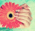 Beautiful female hand with perfect french manicure Royalty Free Stock Photo