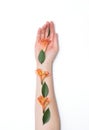 Beautiful female hand on a white background with petals and flowers of orange hibiscus, makeup Royalty Free Stock Photo