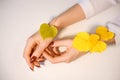 Beautiful female hands on a background, holding autumn yellow leaves, the concept of care of a skin of hands Royalty Free Stock Photo