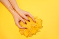 Beautiful female hands on a background, holding autumn yellow leaves, the concept of care of a skin of hands Royalty Free Stock Photo