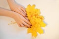 Beautiful female hands on a background, holding autumn yellow leaves, the concept of care of a skin of hands Royalty Free Stock Photo