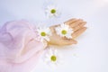 Beautiful female hands hold a white chrysanthemum flower, sun rays and glare in their palms.Concept: beauty and tenderness, health Royalty Free Stock Photo