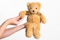 Beautiful female hands holding cute small brown toy bear Royalty Free Stock Photo