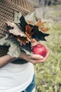 Beautiful female hands holding a red apple and a bouquet of autumn maple leaves. Vertical shot Royalty Free Stock Photo