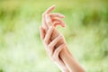 Beautiful female hands on natural green background Royalty Free Stock Photo