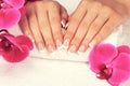 Beautiful female hands with perfect french manicure Royalty Free Stock Photo