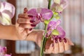 Beautiful female hands with wine color nails polish and purple orchid flower Royalty Free Stock Photo