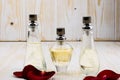 Beautiful female perfume bottles and roses Royalty Free Stock Photo