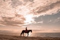 Beautiful female rider atop a majestic horse galloping along a sandy beach at sunset Royalty Free Stock Photo