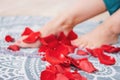 Beautiful female tanned legs with pink pedicure among rose petals, close-up, focus on petal Royalty Free Stock Photo