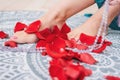 Beautiful female tanned legs with pink pedicure among rose petals, close-up Royalty Free Stock Photo