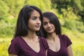 Beautiful female twins Royalty Free Stock Photo