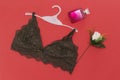 Beautiful female underwear. green lace bra lying, white flower, perfume bottle on pink background. Royalty Free Stock Photo