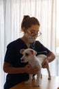 Beautiful female veterinarian checking a small white dog with a stethoscope Royalty Free Stock Photo