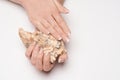 Beautiful Female well-groomed Hands with French manicure holding sea shell over light background Royalty Free Stock Photo