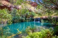 Beautiful Fern Pool behind Fortescue Falls in Dales Gorge at Karijini National Park Royalty Free Stock Photo