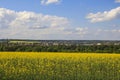 beautiful fertile Ukrainian fields Royalty Free Stock Photo