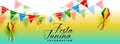 Beautiful festa junina celebration banner design Royalty Free Stock Photo