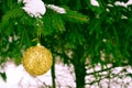Beautiful festive elegant yellow, golden round balls, Christmas decorations for the new year, Christmas hanging on fir branches Royalty Free Stock Photo