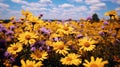 Beautiful Field Of Aster: Realistic And Naturalist Aesthetic