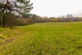 Beautiful field with autumn trees around.Landscape. Autumn meadow, colorful yellow trees . Landscape painting showing