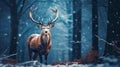 Cold animals nature snow wild landscape christmas forest male deer winter white wildlife