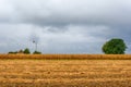 A beautiful field of corn and a crazy sky Royalty Free Stock Photo