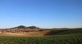 Beautiful field near village of Szomor Royalty Free Stock Photo