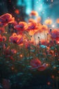 beautiful field of poppies in dark forest close up Royalty Free Stock Photo