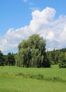 Beautiful fields with clouds Royalty Free Stock Photo