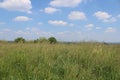 Beautiful fields with clouds Royalty Free Stock Photo