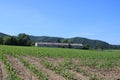 Beautiful fields with clouds Royalty Free Stock Photo