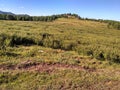 Altai mountain and fields Royalty Free Stock Photo