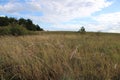 Beautiful fields at Mount Nyakas