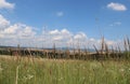 Beautiful fields near village of Szomor Royalty Free Stock Photo