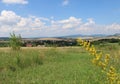 Beautiful fields near village of Szomor Royalty Free Stock Photo