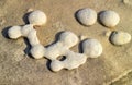 Beautiful figures on stone surface