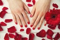 beautiful finger nails with red nail polish and petals Royalty Free Stock Photo