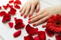 beautiful finger nails with red nail polish and petals Royalty Free Stock Photo