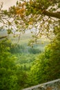 A beautiful Finnish forest landscape Royalty Free Stock Photo